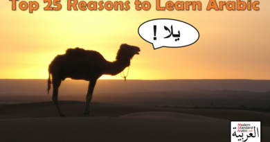 motivation camel to learn arabic