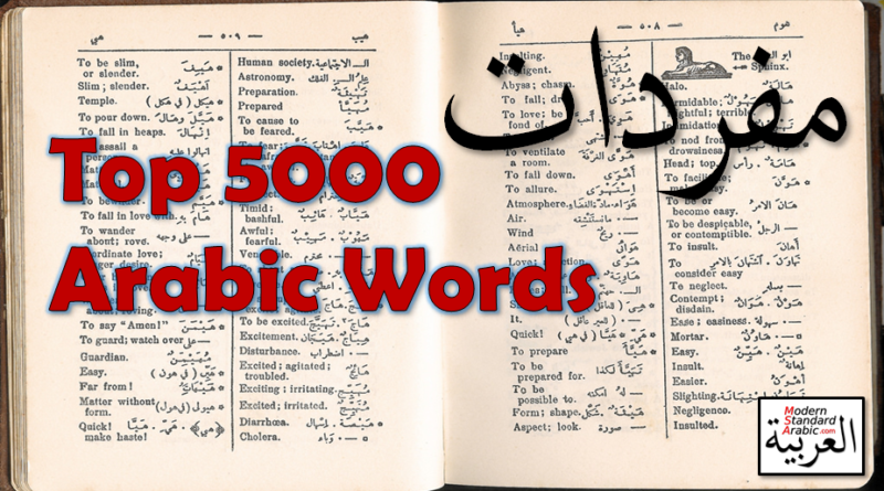 vocab top 5000 arabic words learn msa