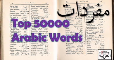 vocab top 50000 arabic words learn study msa